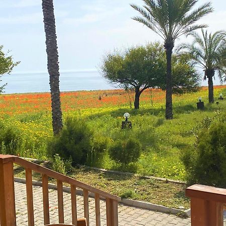 Paradise Karpaz Hotel & Restaurant Rizokarpaso Buitenkant foto