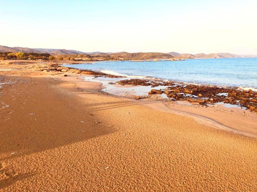 Paradise Karpaz Hotel & Restaurant Rizokarpaso Buitenkant foto