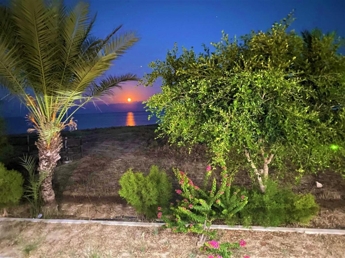 Paradise Karpaz Hotel & Restaurant Rizokarpaso Buitenkant foto
