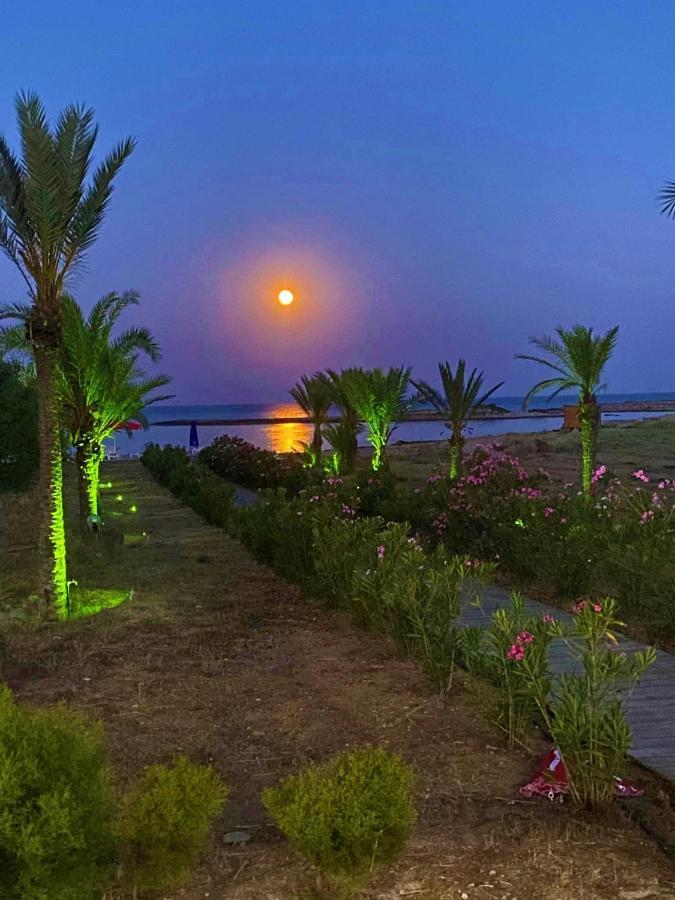 Paradise Karpaz Hotel & Restaurant Rizokarpaso Buitenkant foto