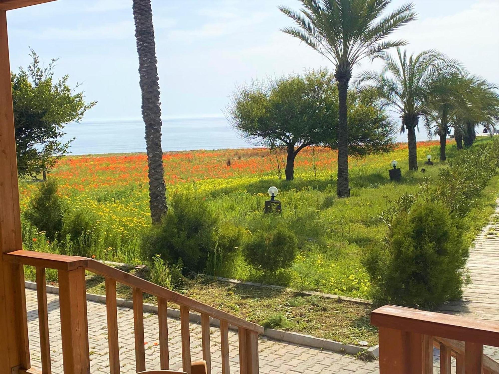 Paradise Karpaz Hotel & Restaurant Rizokarpaso Buitenkant foto